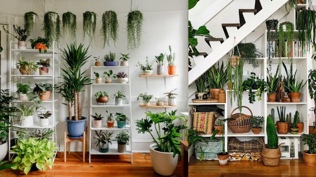 Indoor Planting Ideas